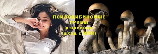 мяу мяу кристалл Алексеевка