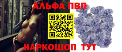 амф Кингисепп