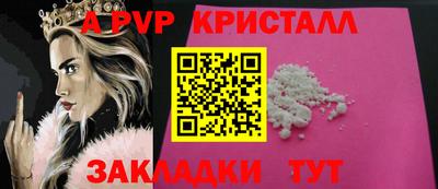 амф Кингисепп