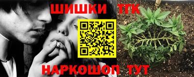 амф Кингисепп