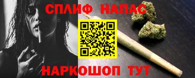 амф Кингисепп
