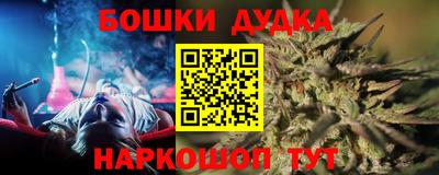 амф Кингисепп