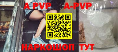 амф Кингисепп