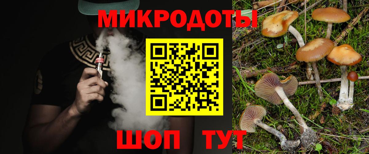 Псилоцибиновые грибы Psilocybe  Вход с VPN  купить наркотики цена  Коркино 